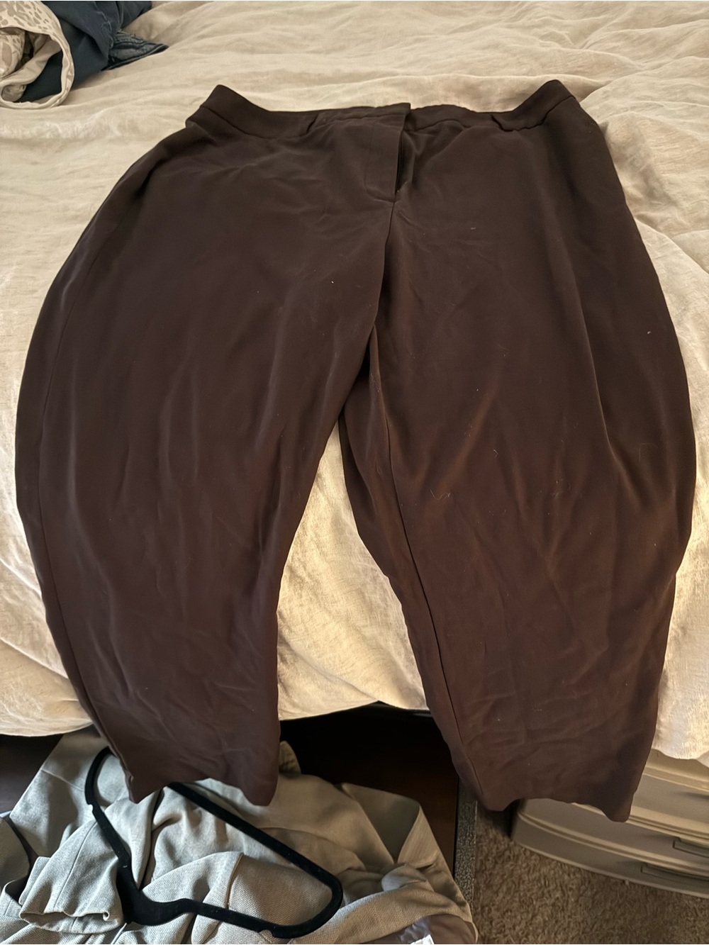 Dillards Straight Trousers in Dark Brown